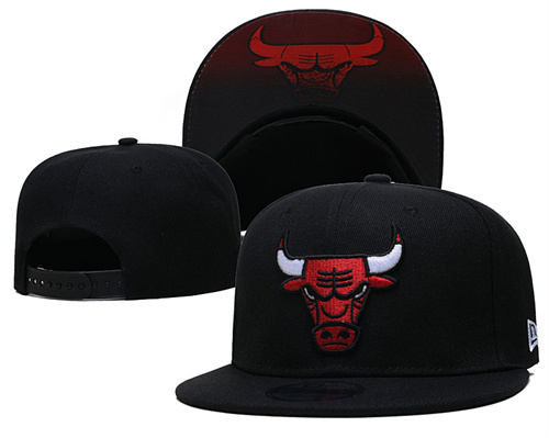 Chicago Bulls Stitched Snapback Hats-SF1001