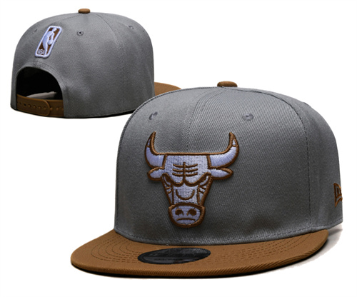 Chicago Bulls Stitched Snapback Hats-SF978