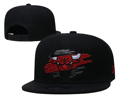 Chicago Bulls Stitched Snapback Hats-SF987