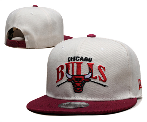 Chicago Bulls Stitched Snapback Hats-SF992