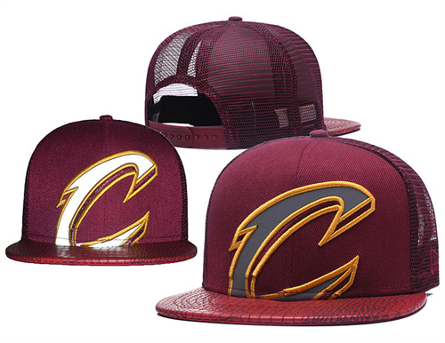 Cleveland Cavaliers Stitched Snapback Hats-SF1079