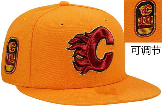 Calgary Flames Stitched Snapback Hats-TX227