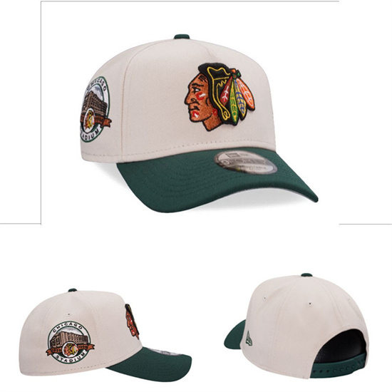 Chicago Blackhawks Stitched Snapback Hats-TX232