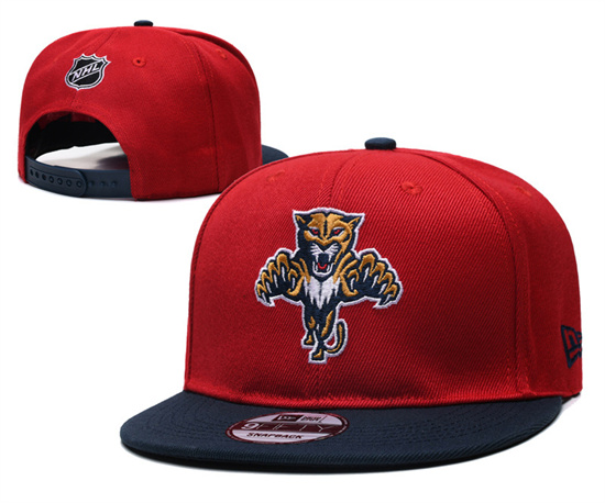 Florida Panthers Stitched Snapback Hats-TX249