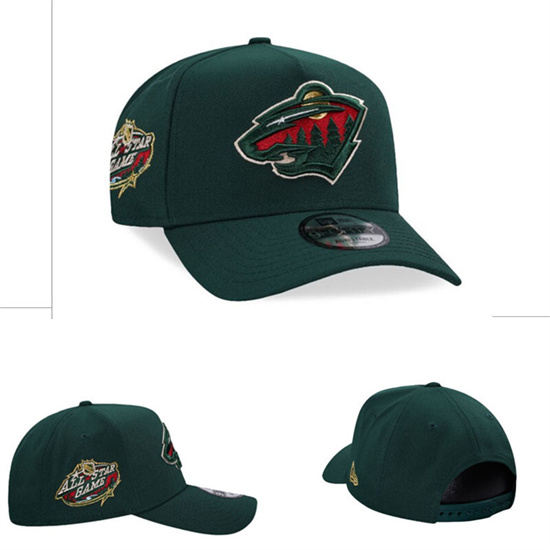 Minnesota Wild Stitched NHL Snapback Hats-TX263