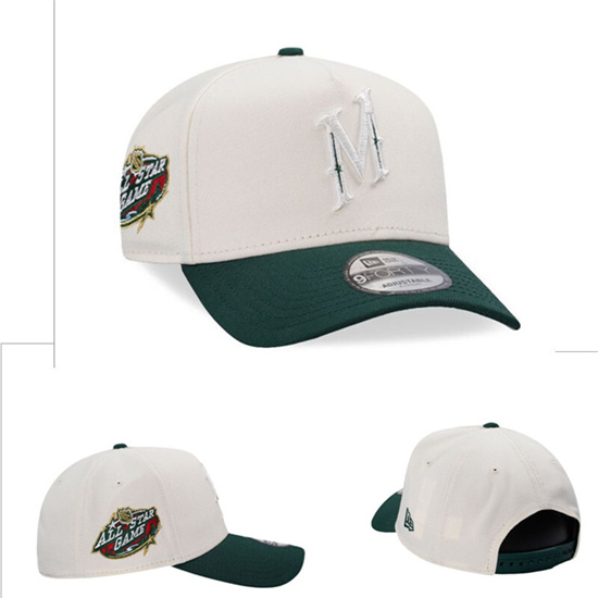 Minnesota Wild Stitched NHL Snapback Hats-TX264