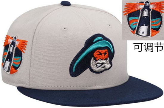 Vancouver Canucks Stitched NHL Snapback Hats-TX312