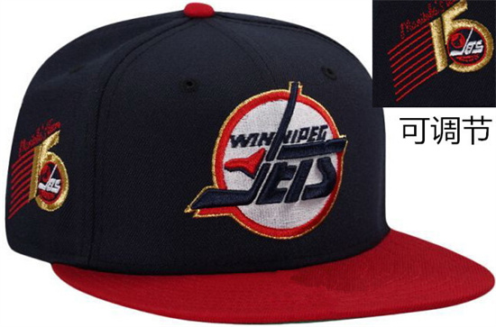 Winnipeg Jets Stitched NHL Snapback Hats-TX323