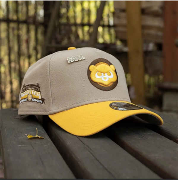 Chicago Cubs Stitched Snapback Caps-TX351