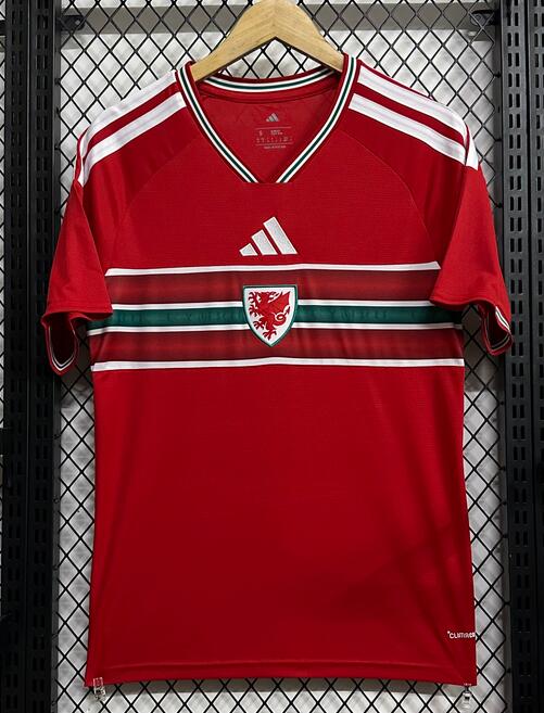 Men's Wales 2026 World Cup AAA Home Jersey