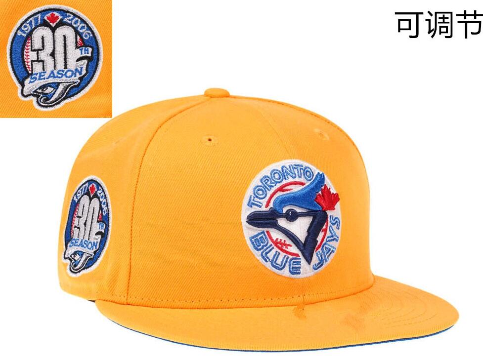 MLB TORONTO BLUE JAYS Snapbacks Caps-TX456