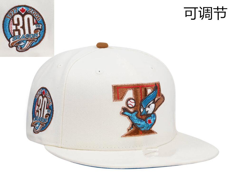 MLB TORONTO BLUE JAYS Snapbacks Caps-TX457