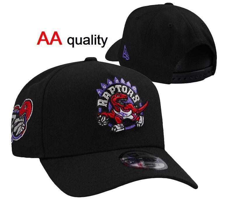 NBA Toronto Raptors Stitched Snapback Hats-YD511