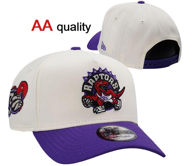 NBA Toronto Raptors Stitched Snapback Hats-YD512