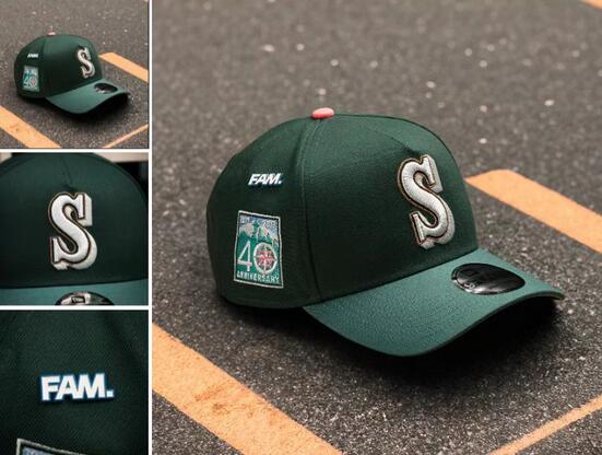 MLB Seattle Mariners Stitched Snapbacks-TX300
