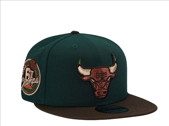 Chicago Bulls Stitched Snapback Hats-TX430 