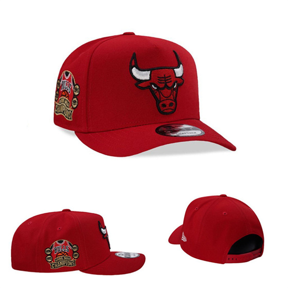 Chicago Bulls Stitched Snapback Hats-TX436 