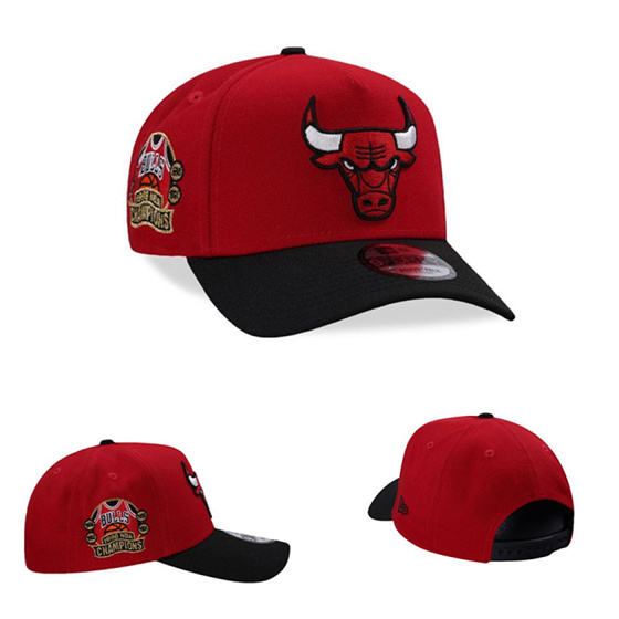 Chicago Bulls Stitched Snapback Hats-TX437 