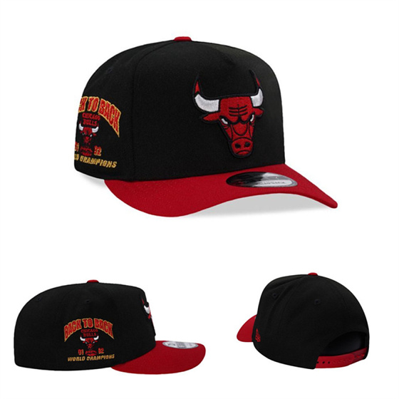 Chicago Bulls Stitched Snapback Hats-TX439 