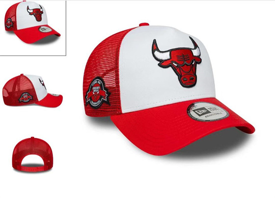 Chicago Bulls Stitched Snapback Hats-TX441 