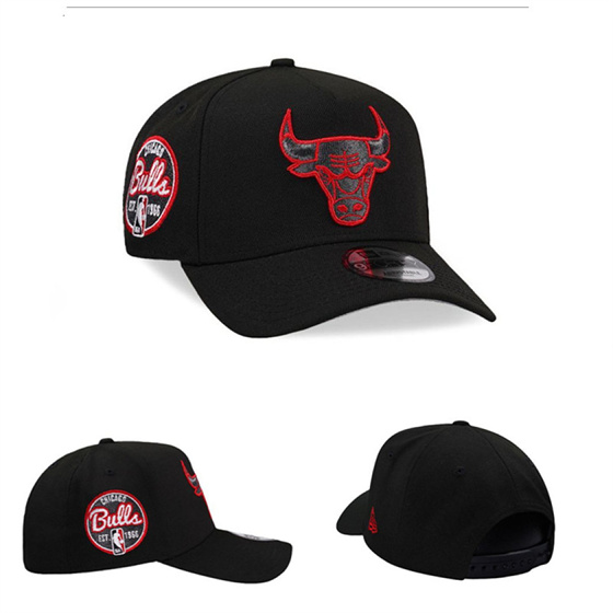 Chicago Bulls Stitched Snapback Hats-TX445 