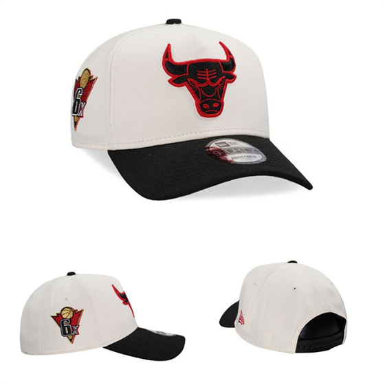 Chicago Bulls Stitched Snapback Hats-TX447 