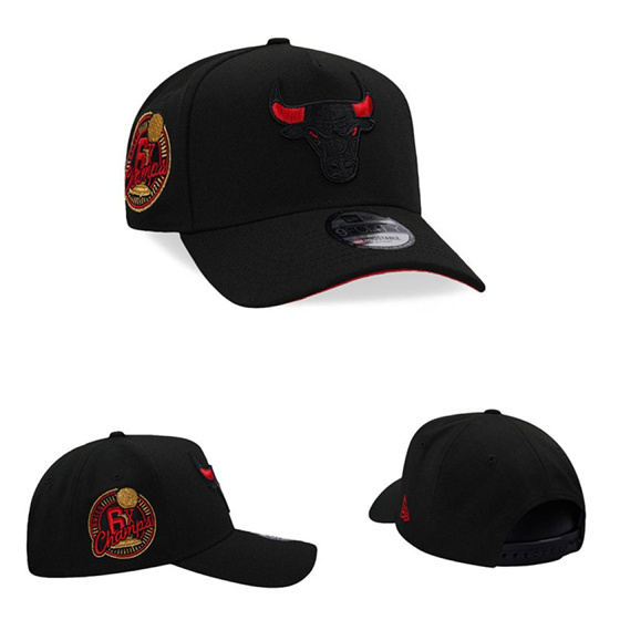 Chicago Bulls Stitched Snapback Hats-TX449 