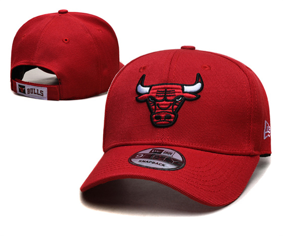 Chicago Bulls Stitched Snapback Hats-TX458 