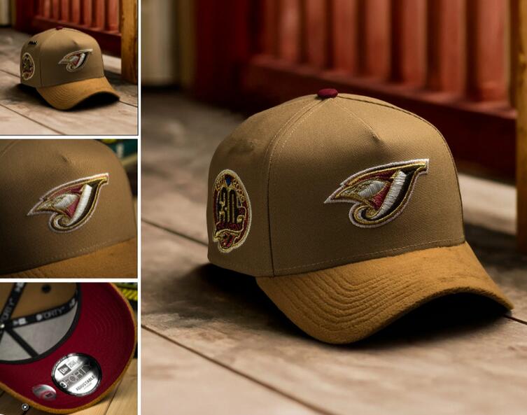 MLB TORONTO BLUE JAYS Snapbacks Caps-TX459