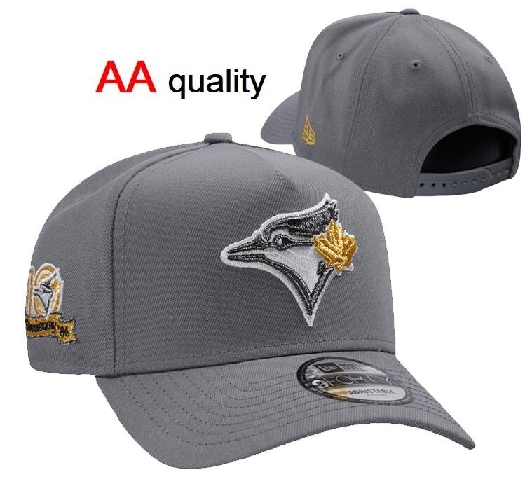 MLB TORONTO BLUE JAYS Snapbacks Caps-YD264