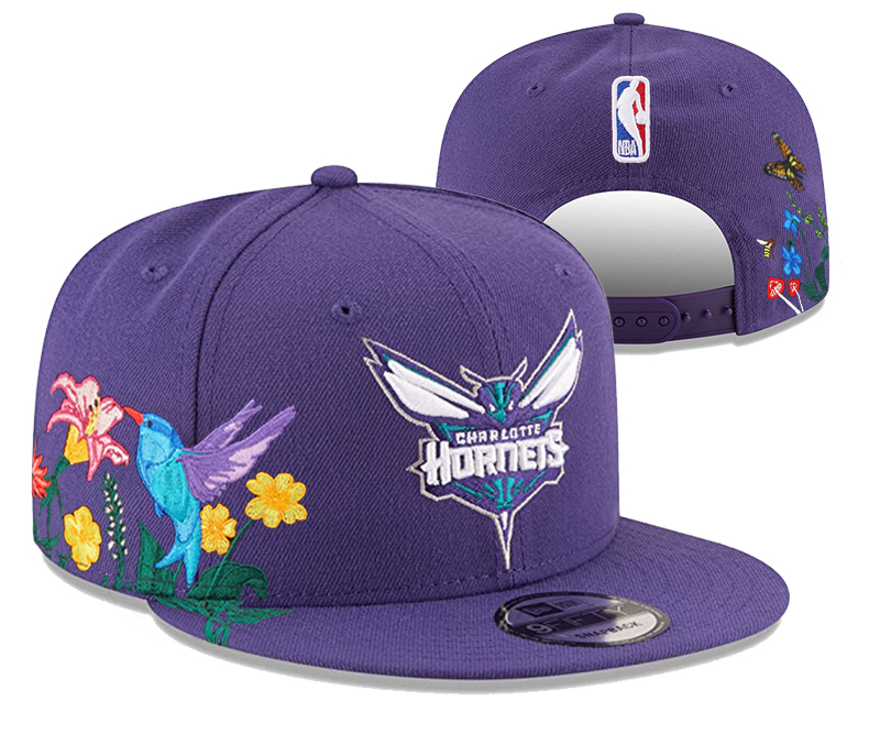 NBA Charlotte Hornets Snapbacks-YD683