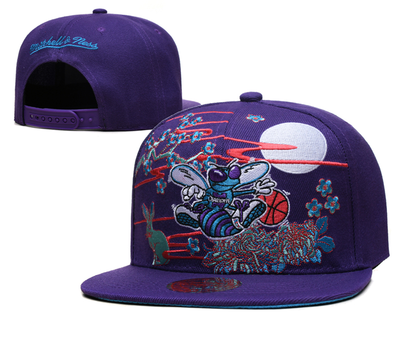 NBA Charlotte Hornets Snapbacks-YD684