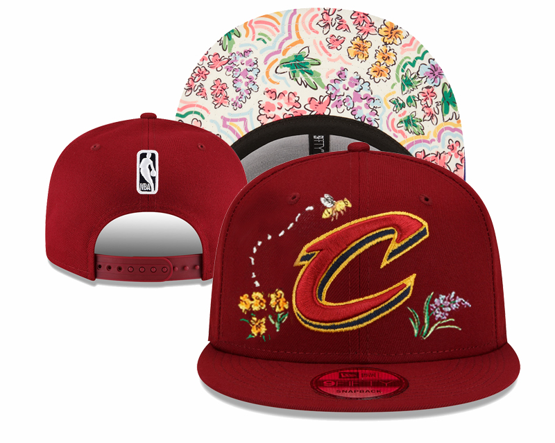 NBA Cleveland Cavaliers Snapbacks-YD751