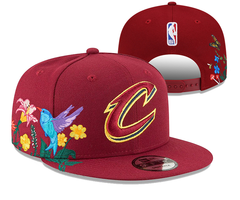 NBA Cleveland Cavaliers Snapbacks-YD753