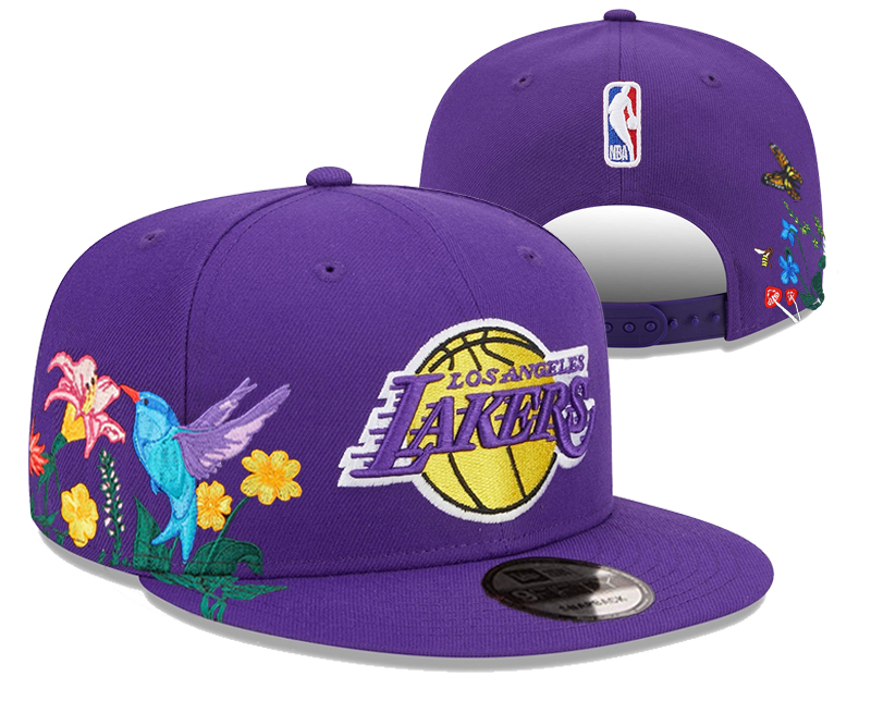 NBA Los Angeles Lakers Snapbacks-YD649