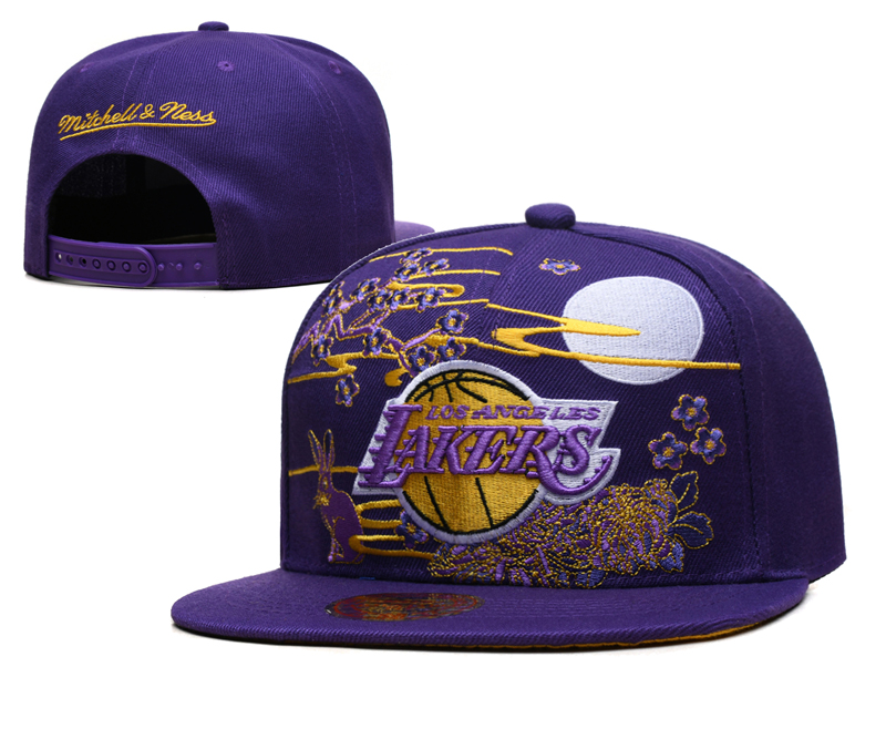 NBA Los Angeles Lakers Snapbacks-YD651