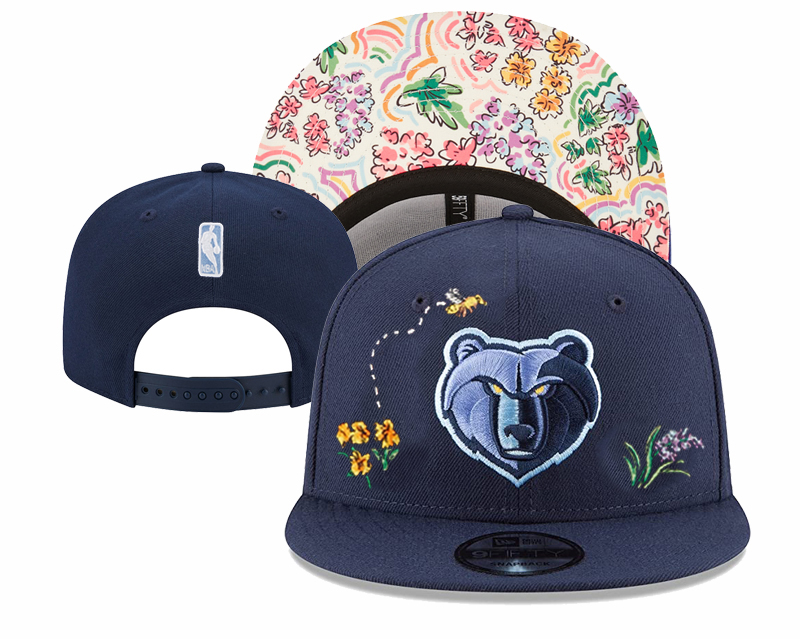 NBA Memphis Grizzlies Snapbacks-YD691