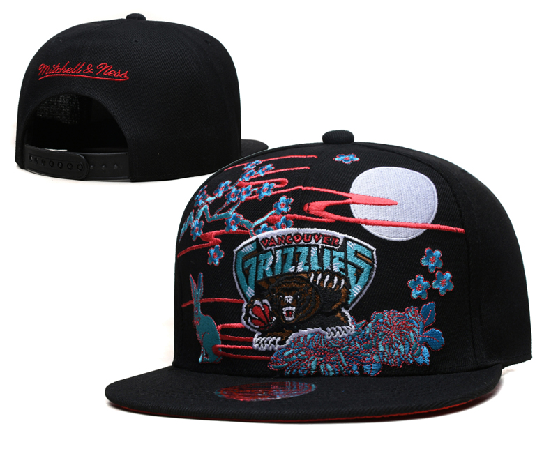 NBA Memphis Grizzlies Snapbacks-YD694