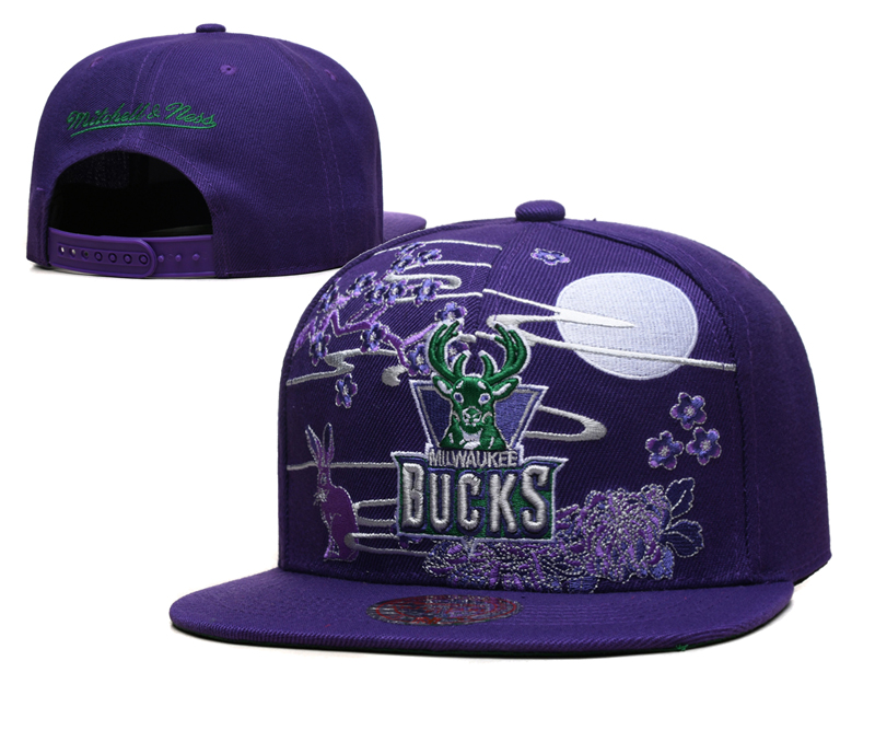 NBA Milwaukee Bucks Snapbacks-YD785