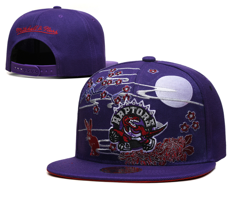 NBA Toronto Raptors Snapbacks-YD824