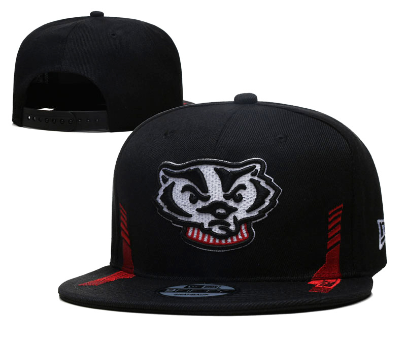NCAA Wisconsin Badgers Snapbacks-YD372