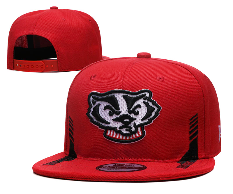 NCAA Wisconsin Badgers Snapbacks-YD373