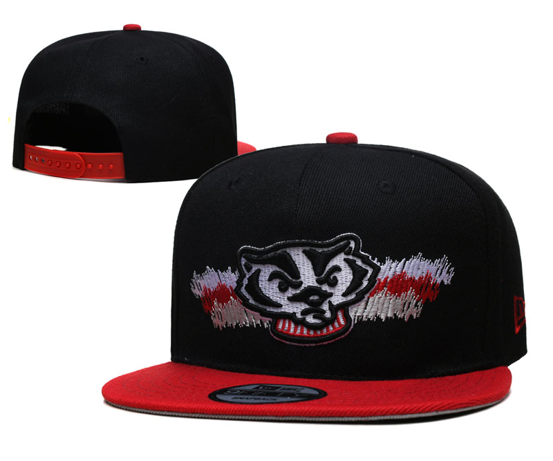 NCAA Wisconsin Badgers Snapbacks-YD374