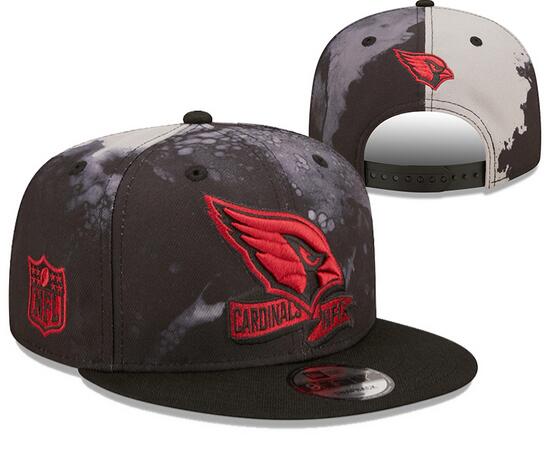 NFL Arizona Cardinals Snapbacks-YD1620