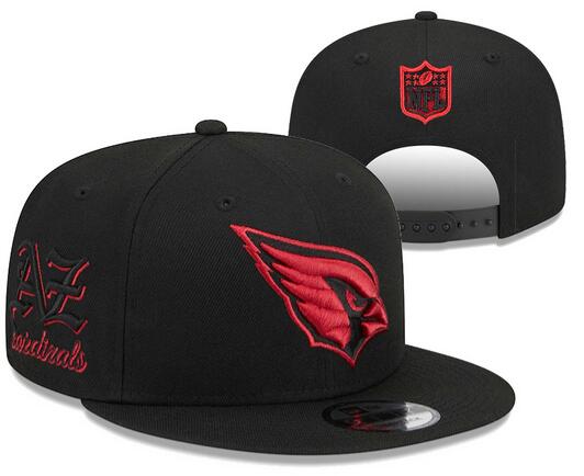 NFL Arizona Cardinals Snapbacks-YD1624